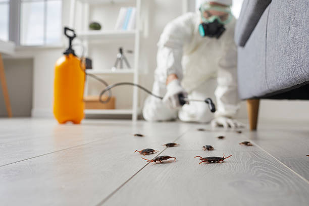 Commercial Kitchen Cockroach Control in Commercial Point